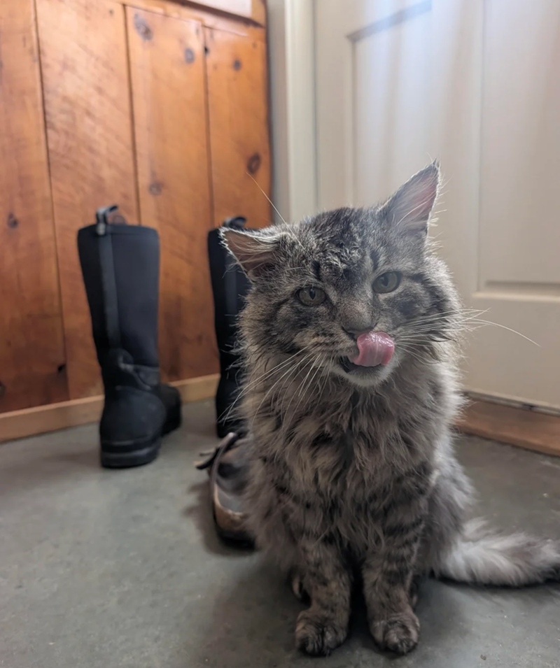 Cheezburger Image 10620040192