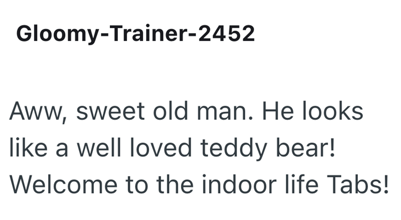 Gloomy-Trainer-2452 Aww, sweet old man. He looks like a well loved teddy bear! Welcome to the indoor life Tabs!