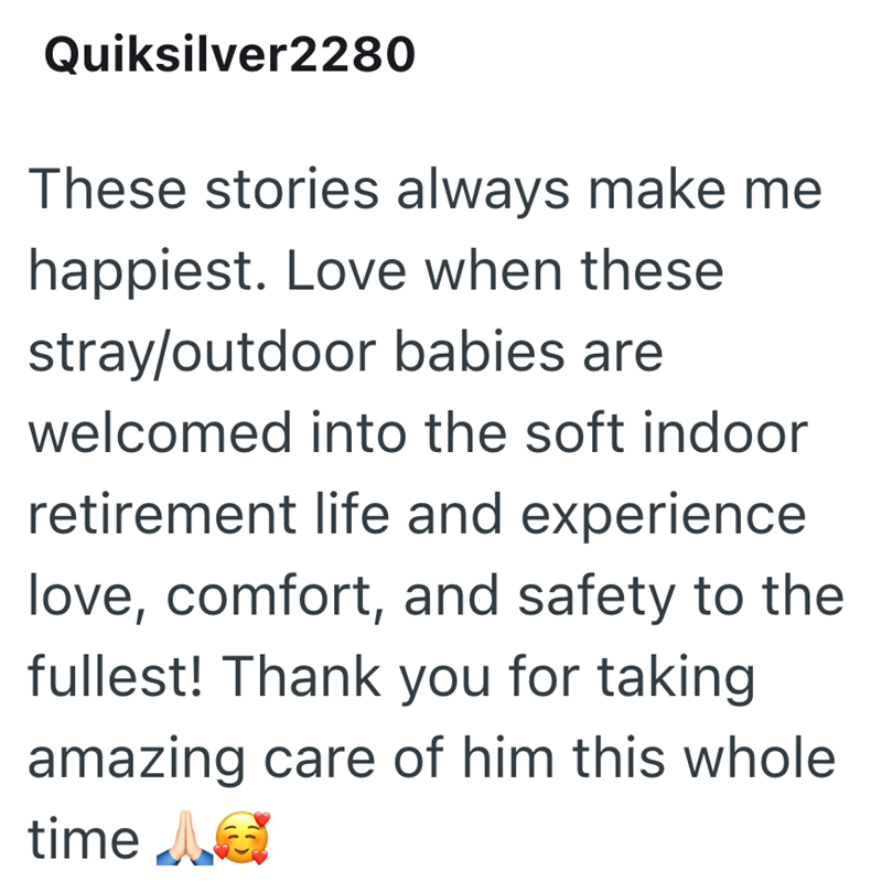 Quiksilver2280 These stories always make me happiest. Love when these stray/outdoor babies are welcomed into the soft indoor retirement life and experience love, comfort, and safety to the fullest! Thank you for taking amazing care of him this whole time AG