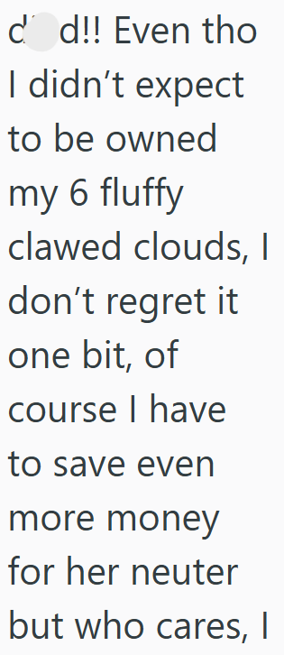d d!! Even tho I didn't expect to be owned my 6 fluffy clawed clouds, I don't regret it one bit, of course I have to save even more money for her neuter but who cares, I