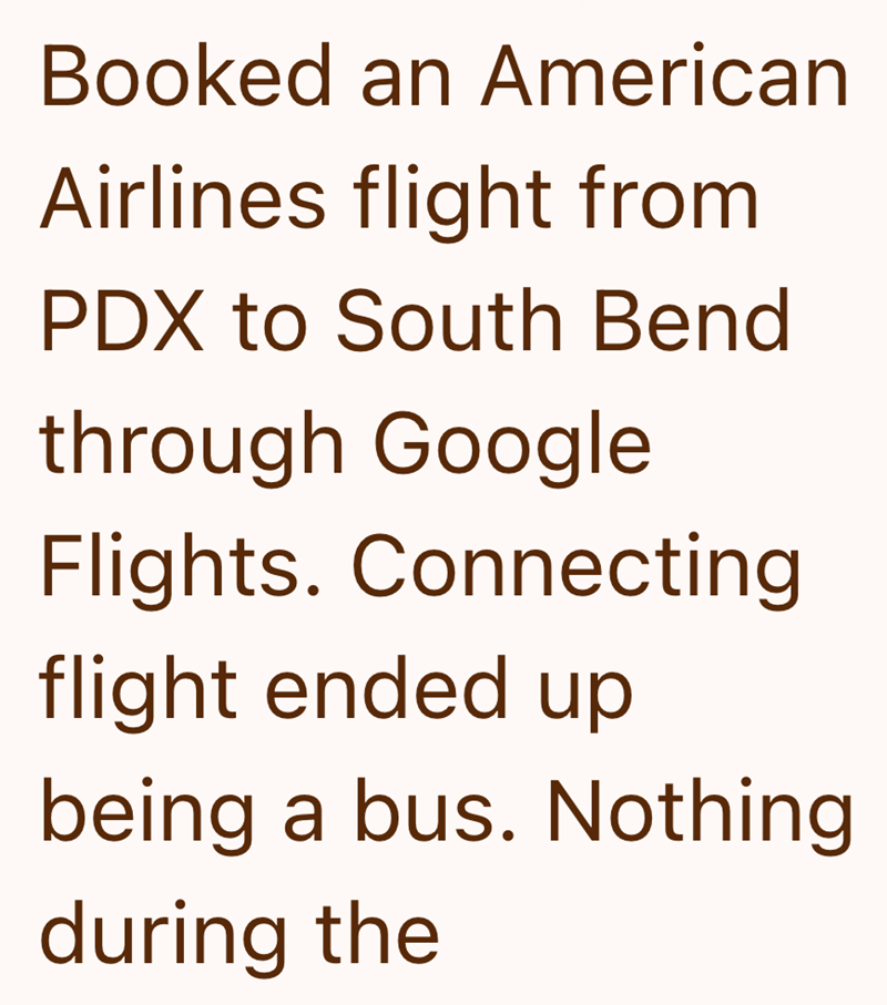 Booked an American Airlines flight from PDX to South Bend through Google Flights. Connecting flight ended up being a bus. Nothing during the