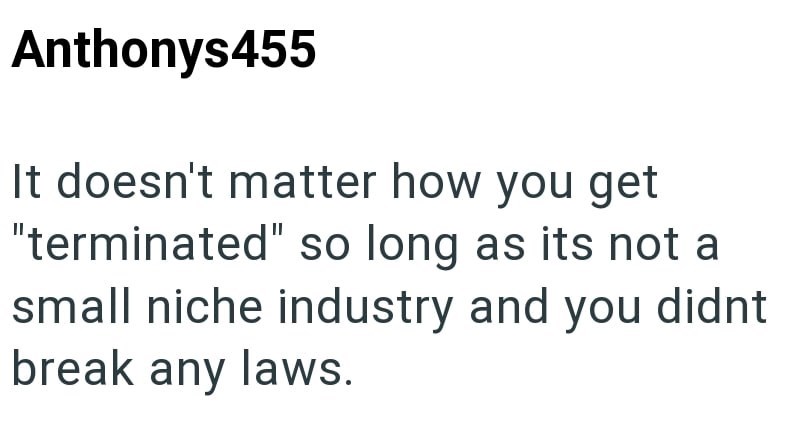 Anthonys455 It doesn't matter how you get "terminated" so long as its not a small niche industry and you didnt break any laws.