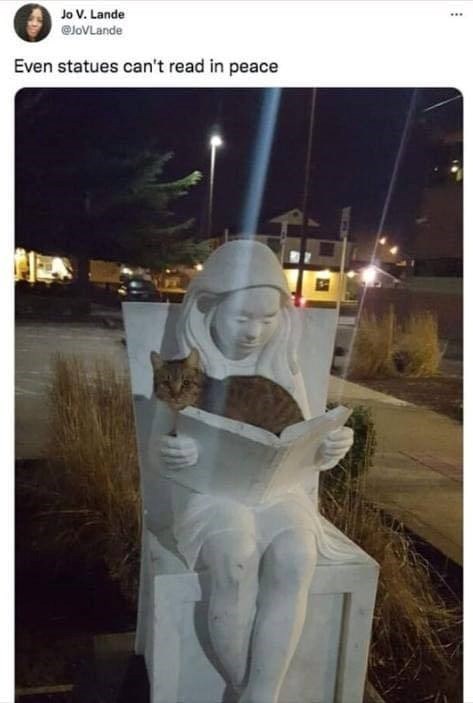 Jo V. Lande @JoVLande Even statues can't read in peace
