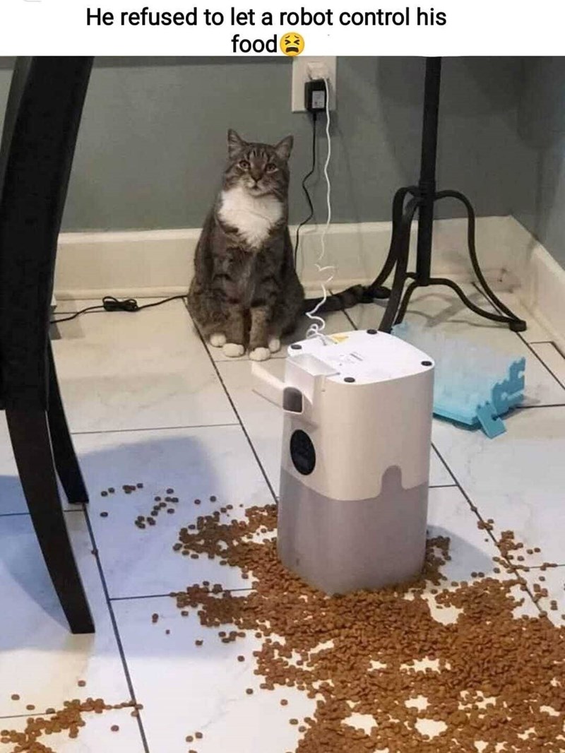 He refused to let a robot control his food →