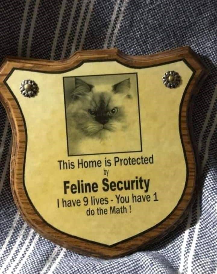 This Home is Protected by Feline Security I have 9 lives - You have 1 do the Math!