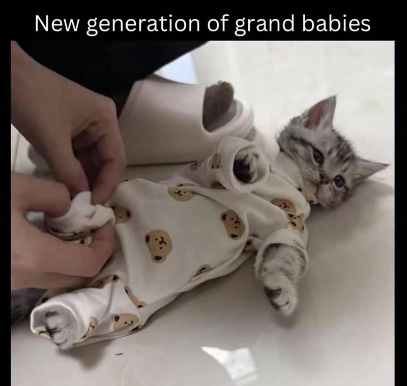 New generation of grand babies