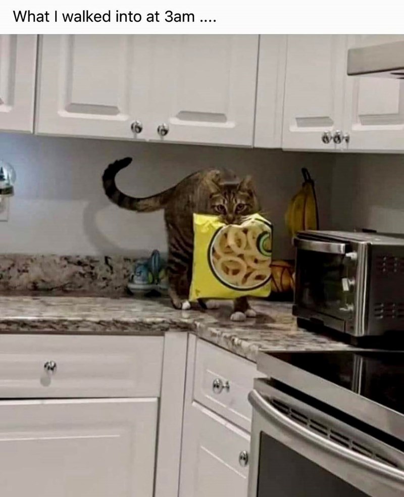 What I walked into at 3am ....