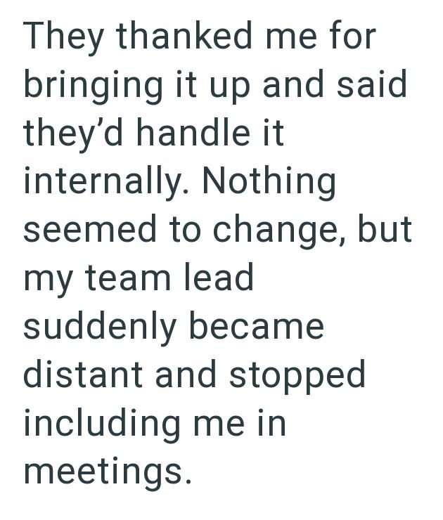 They thanked me for bringing it up and said they'd handle it internally. Nothing seemed to change, but my team lead suddenly became distant and stopped including me in meetings.