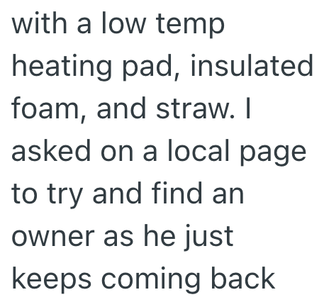 with a low temp heating pad, insulated foam, and straw. I asked on a local page to try and find an owner as he just keeps coming back