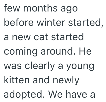 few months ago before winter started, a new cat started coming around. He was clearly a young kitten and newly adopted. We have a