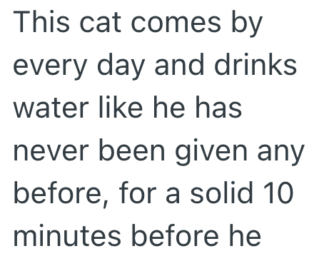 This cat comes by every day and drinks water like he has never been given any before, for a solid 10 minutes before he