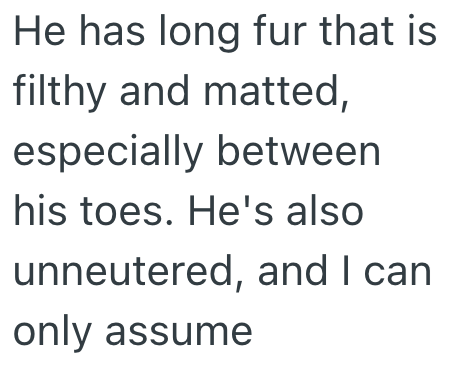 He has long fur that is filthy and matted, especially between his toes. He's also unneutered, and I can only assume