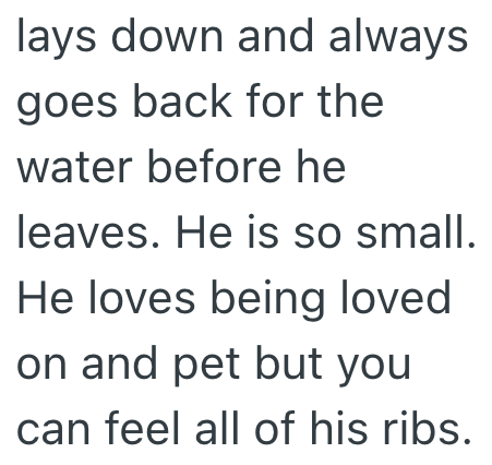 lays down and always goes back for the water before he leaves. He is so small. He loves being loved on and pet but you I can feel all of his ribs.
