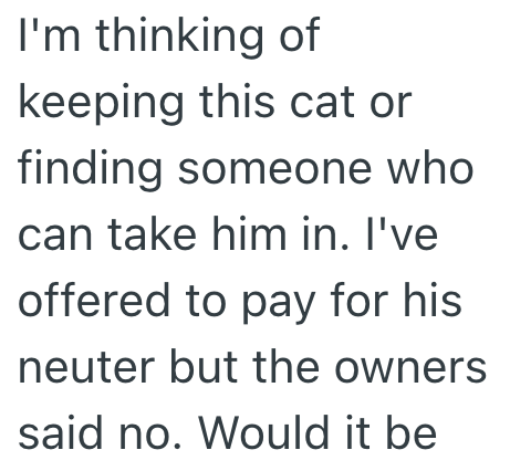I'm thinking of keeping this cat or finding someone who can take him in. I've offered to pay for his neuter but the owners said no. Would it be