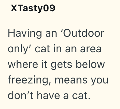 XTasty09 Having an 'Outdoor only' cat in an area where it gets below freezing, means you don't have a cat.