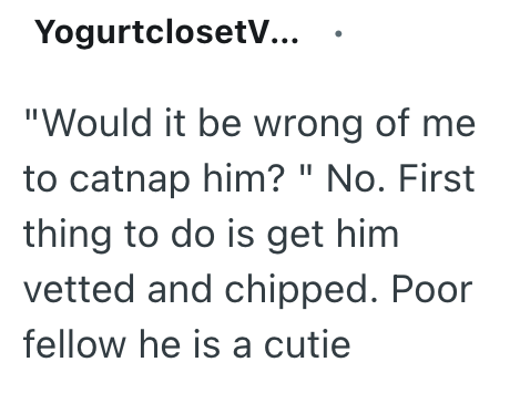 YogurtclosetV... "Would it be wrong of me to catnap him? " No. First thing to do is get him vetted and chipped. Poor fellow he is a cutie