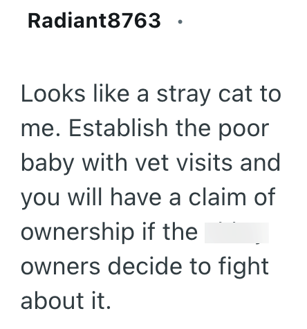 Radiant8763 Looks like a stray cat to me. Establish the poor baby with vet visits and you will have a claim of ownership if the owners decide to fight about it.