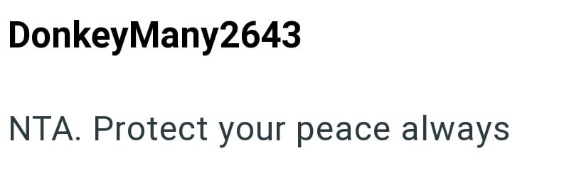 DonkeyMany2643 NTA. Protect your peace always