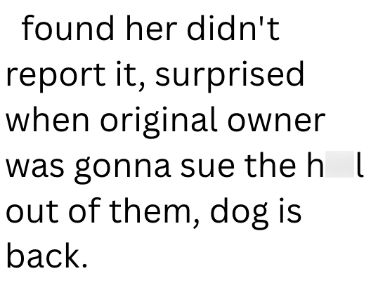 found her didn't report it, surprised when original owner was gonna sue the hl out of them, dog is back.