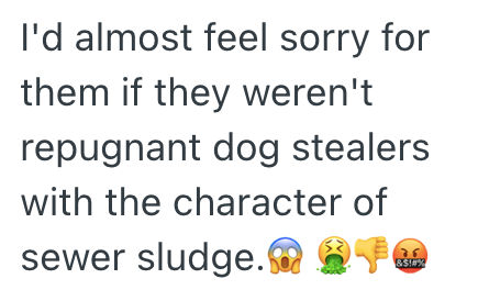 I'd almost feel sorry for them if they weren't repugnant dog stealers with the character of sewer sludge. &$!#%