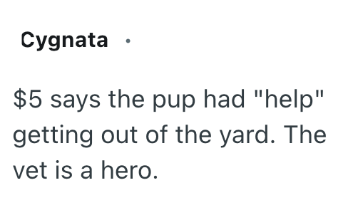 Cygnata $5 says the pup had "help" getting out of the yard. The vet is a hero.