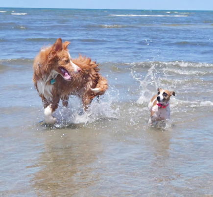 Cheezburger Image 10620175104