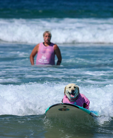 Cheezburger Image 10620175616