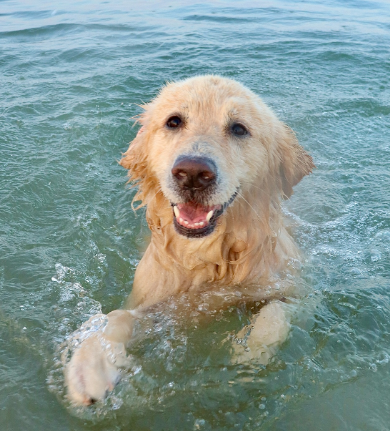 Cheezburger Image 10620177920