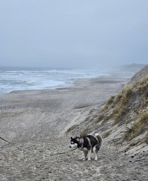 Cheezburger Image 10620178944