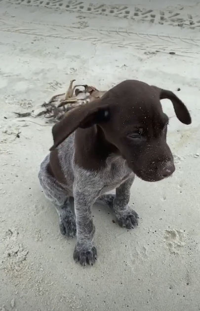 Cheezburger Image 10620179200