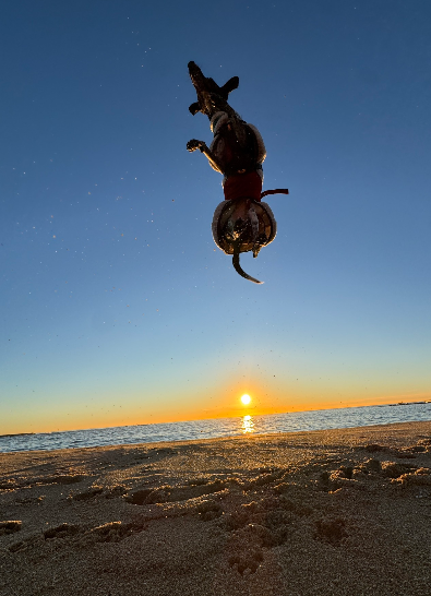 Cheezburger Image 10620180224