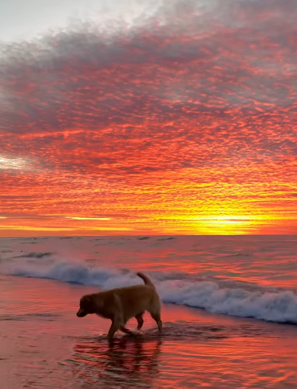 Cheezburger Image 10620180480