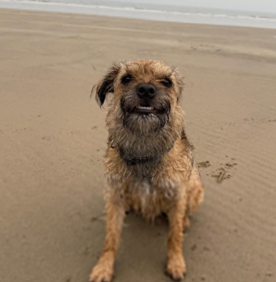 Cheezburger Image 10620180736