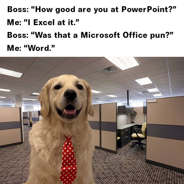 Boss: "How good are you at PowerPoint?" Me: "I Excel at it." Boss: "Was that a Microsoft Office pun?" Me: "Word."