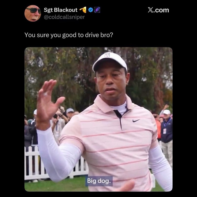 Sgt Blackout @coldcallsniper You sure you good to drive bro? Big dog. X.com