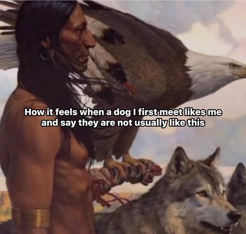How it feels when a dog I first meet likes me and say they are not usually like this