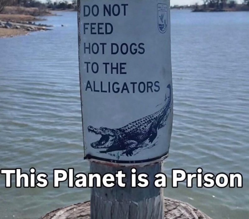DO NOT FEED HOT DOGS TO THE ALLIGATORS This Planet is a Prison