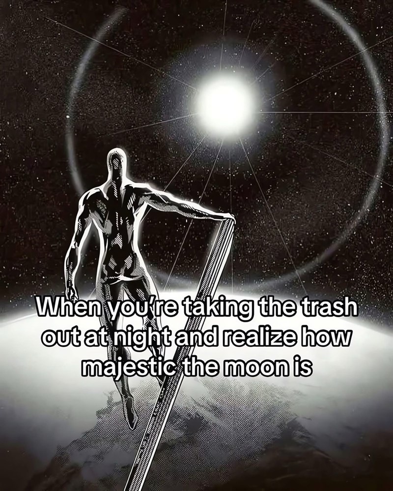 When you're taking the trash out at night and realize how majestic the moon is