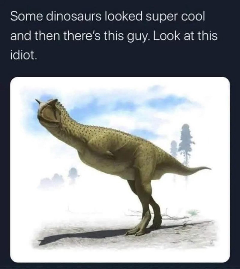 Some dinosaurs looked super cool and then there's this guy. Look at this idiot.