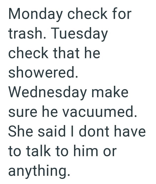 Monday check for trash. Tuesday check that he showered. Wednesday make sure he vacuumed. She said I dont have to talk to him or anything.