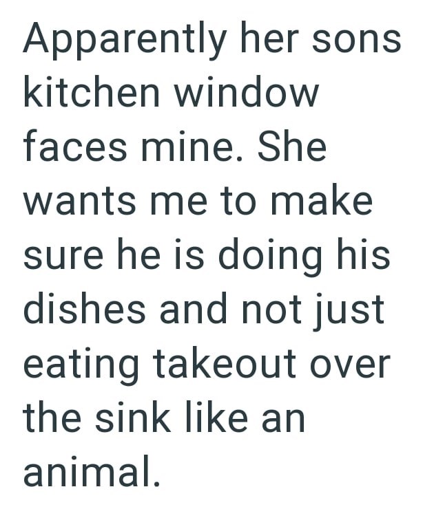 Apparently her sons kitchen window faces mine. She wants me to make sure he is doing his dishes and not just eating takeout over the sink like an animal.
