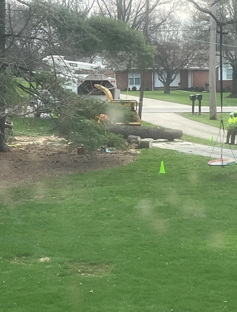 Cheezburger Image 10620224000