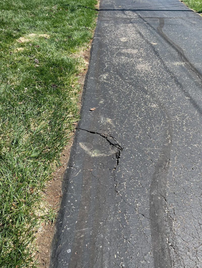 Cheezburger Image 10620224256