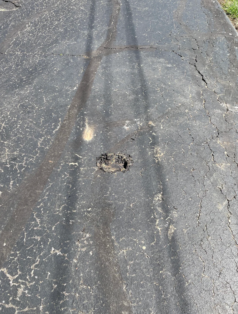 Cheezburger Image 10620224512