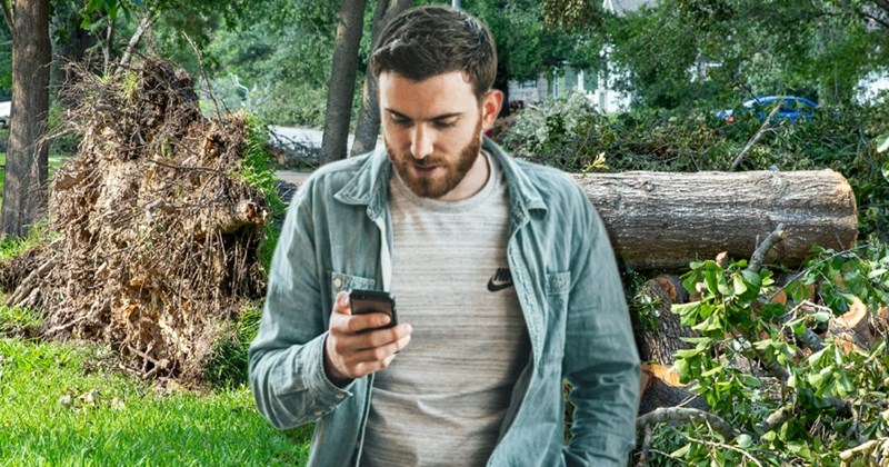 Homeowner stands in front of large piece of fallen tree, staring at his phone as he contacts the project manager.