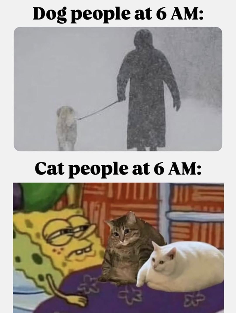 Dog people at 6 AM: Cat people at 6 AM: 8