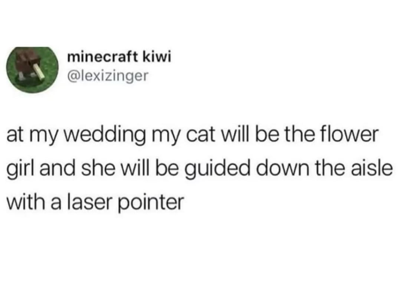 minecraft kiwi @lexizinger at my wedding my cat will be the flower girl and she will be guided down the aisle with a laser pointer