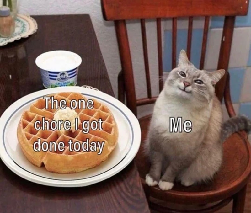 CHETANA The one chore I got Me done today