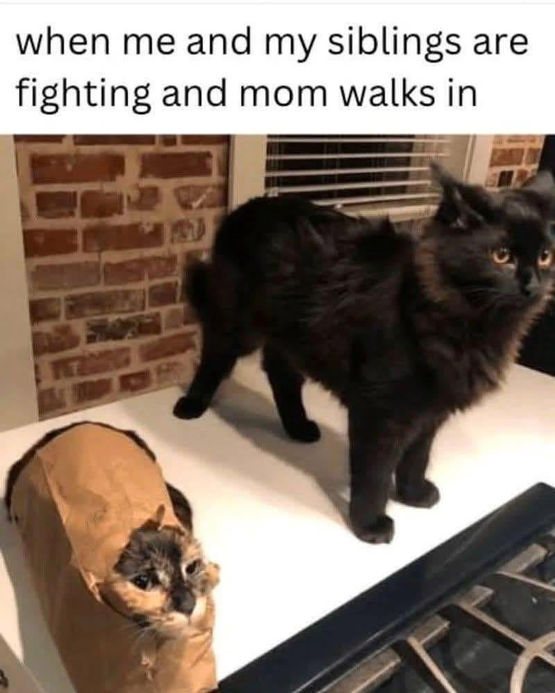 when me and my siblings are fighting and mom walks in