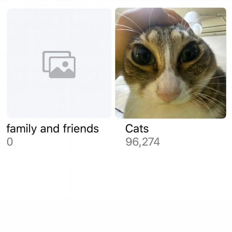 family and friends 0 Cats 96,274